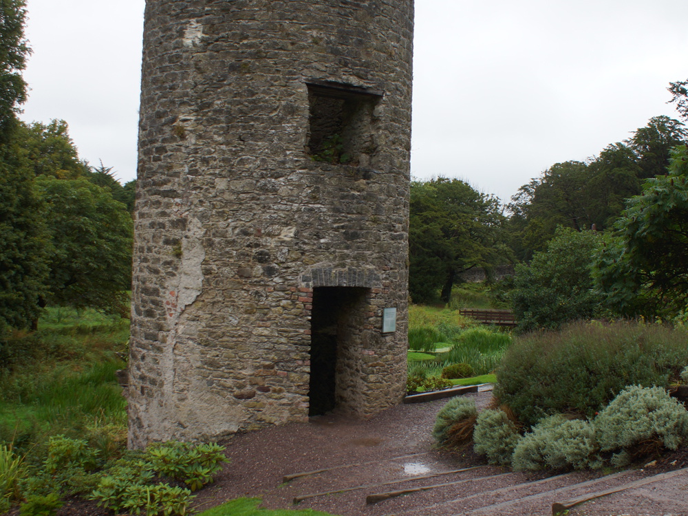 DSC03666