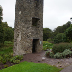 DSC03666