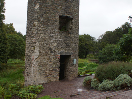 DSC03666