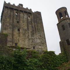 DSC03671