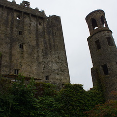 DSC03674