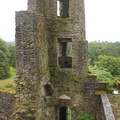 DSC03675