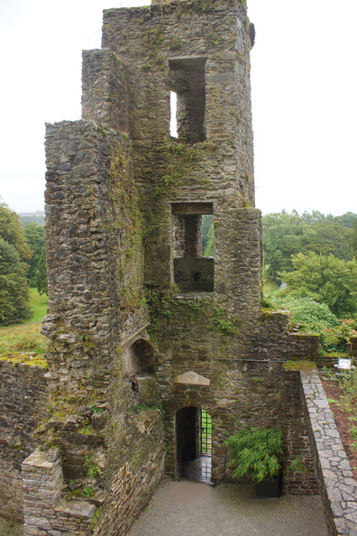 DSC03675.jpg