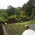 DSC03677