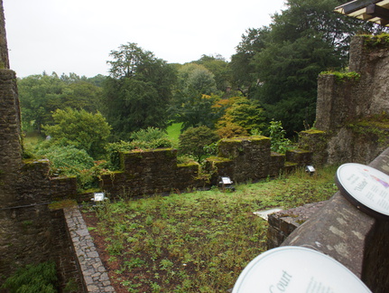 DSC03677