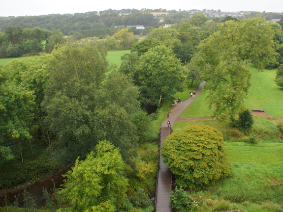 DSC03681