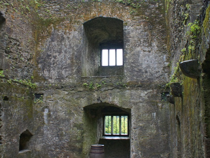 DSC03687