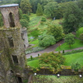 DSC03690