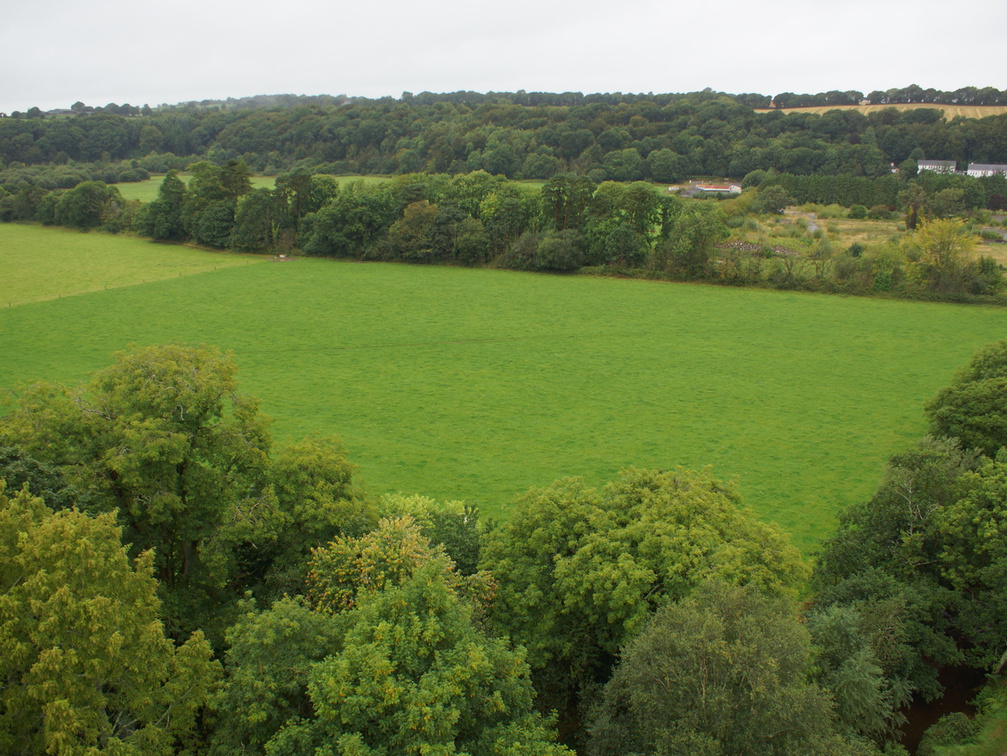 DSC03697