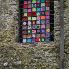 DSC03725
