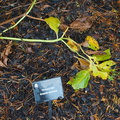 DSC03729