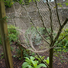 DSC03734