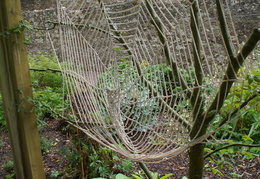 DSC03734