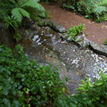 DSC03747