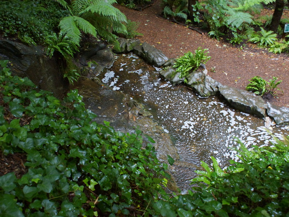 DSC03747