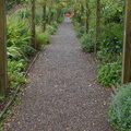 DSC03753