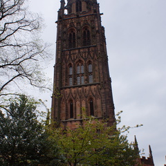 DSC03779