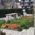 DSC03897