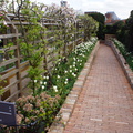 DSC03902