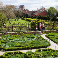 DSC03919