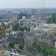 DSC04334