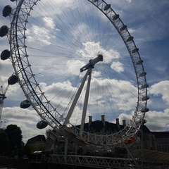 2017-06-23 10.55.55