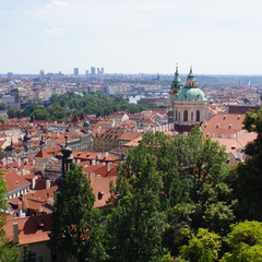DSC04560