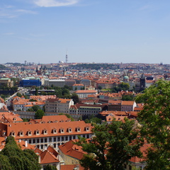 DSC04561