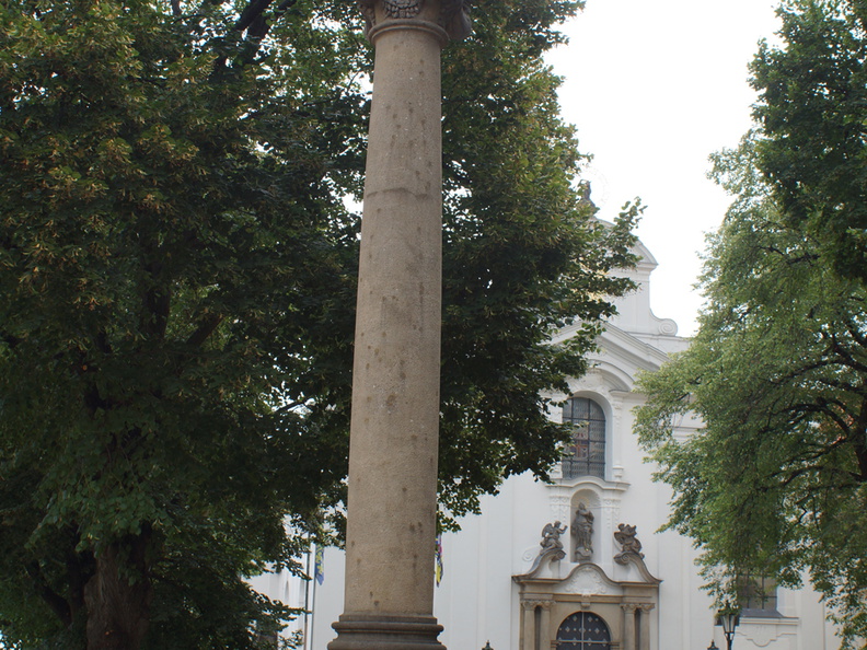 DSC04597