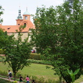 DSC04603