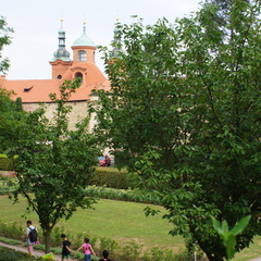 DSC04603