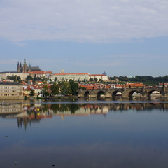 DSC04642
