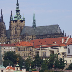 DSC04657