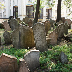 DSC04693