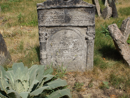 DSC04696