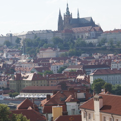 DSC04730