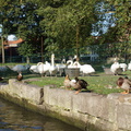 DSC04922