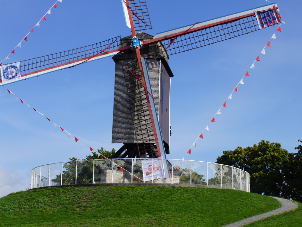 DSC04955