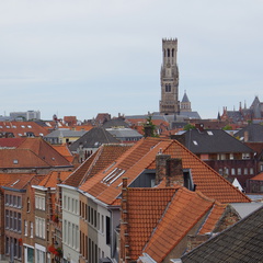 DSC05052