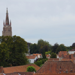 DSC05053