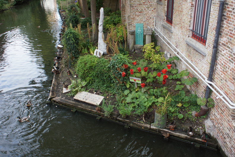 DSC05055.jpg