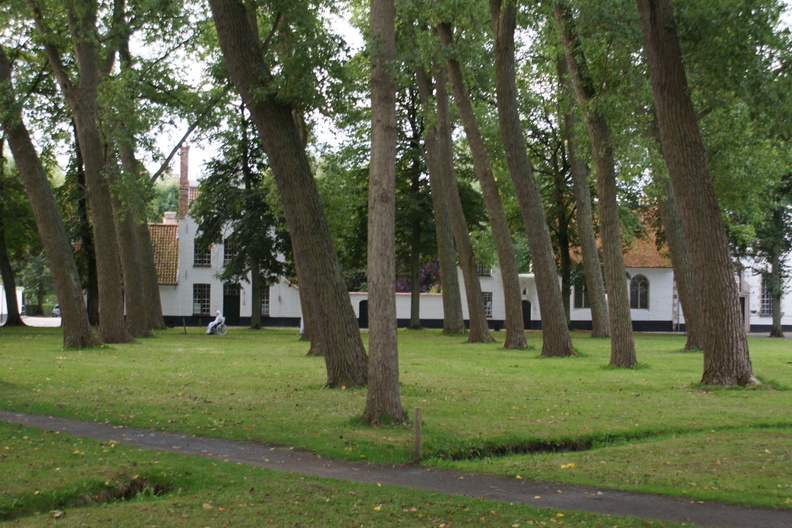 DSC05066.jpg
