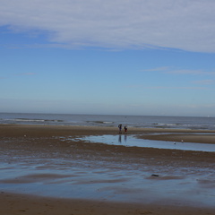 DSC05079