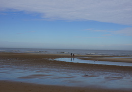 DSC05079