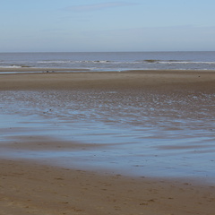 DSC05082
