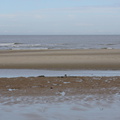 DSC05084