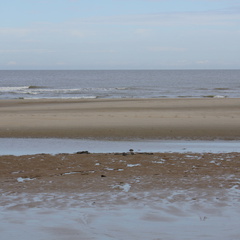 DSC05084