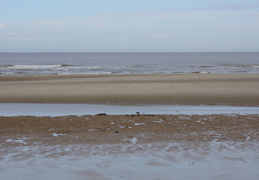 DSC05084
