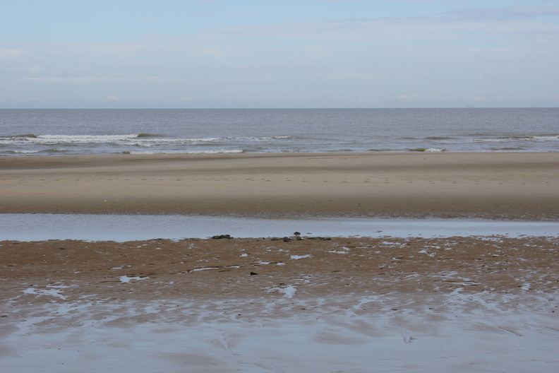 DSC05084.jpg