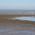 DSC05087